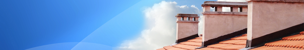 Banner - Nico Schaupeter