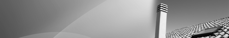 Banner - Nico Schaupeter